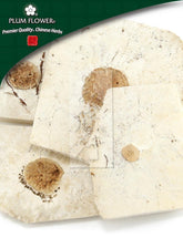 Fu Shen, unsulfured Poria cocos fungus- spirit